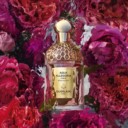 Aqua Allegoria Forte - Rosa Rossa - Eau de Parfum